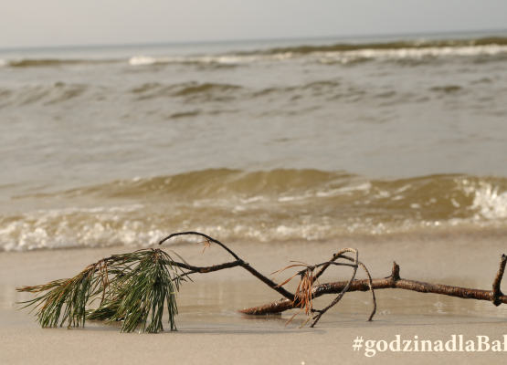 Grafika 2: Godzina dla Ziemi, godzina dla Bałtyku