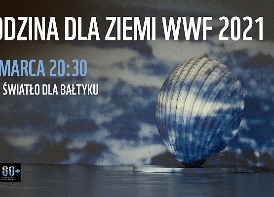 Grafika 1: Godzina dla Ziemi, godzina dla Bałtyku