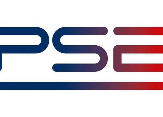 Logo Polskich Sieci Elektroenergetycznych.