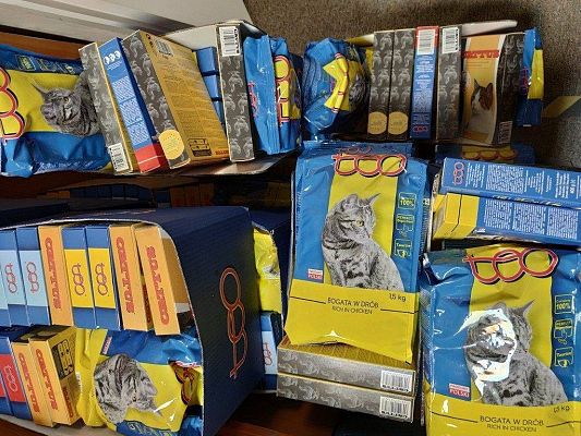 Zestawy paczkowanej karmy dla kotów. grafika