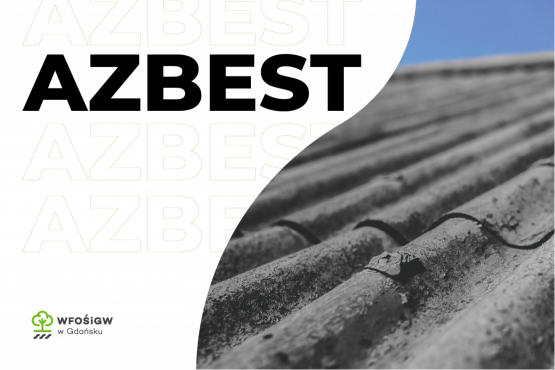 Element dekoracyjny. grafika